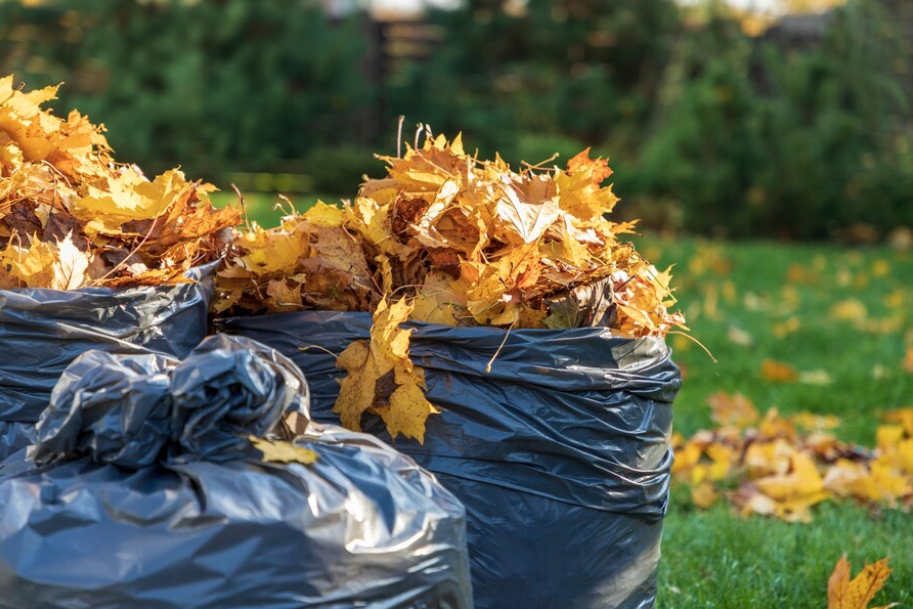 Comment avoir des sacs déchets verts ?