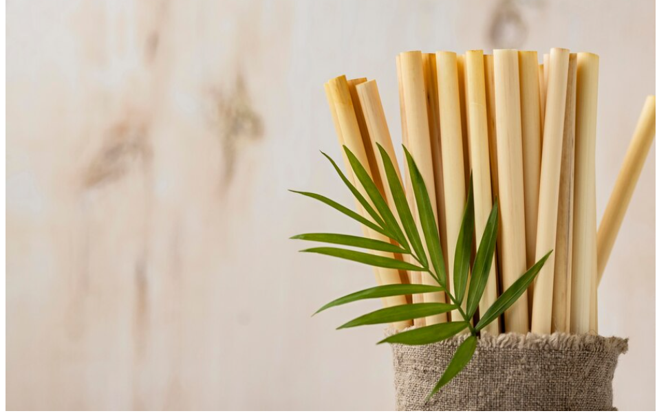 Quelles sont les différentes sortes de pailles écologiques ?