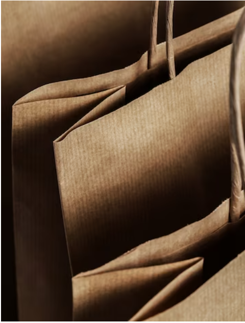 L'histoire du Sac en kraft