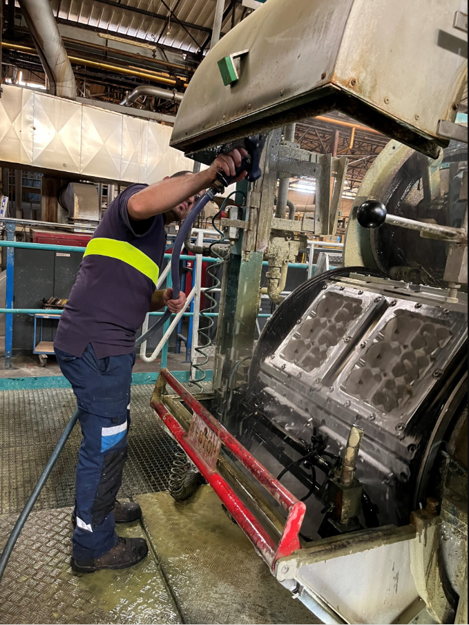 Boîtes à œufs en fibre moulée, boîte à oeufs recyclable, boîtes à oeufs pas cher, boîtes à oeufs de poules, processus de fabrication, origine boîtes à oeufs