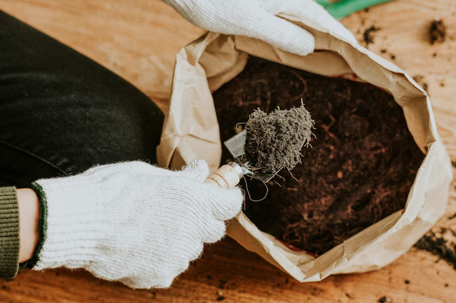 C'est quoi un sac compostable ?