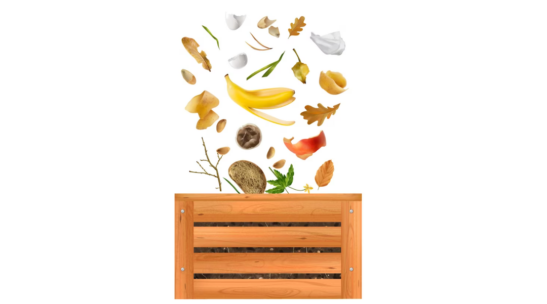 Peut-on composter des serviettes en papier et comment le faire correctement ?