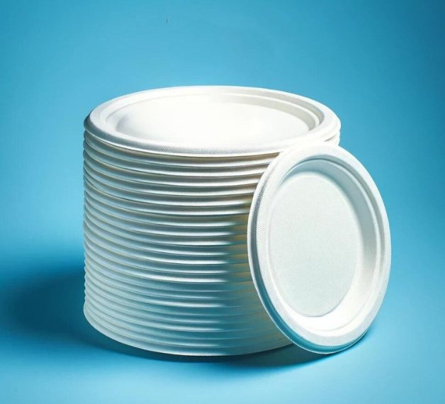 Assiettes en Bagasse : Durables, Robustes, et Prêtes pour Tout Événement