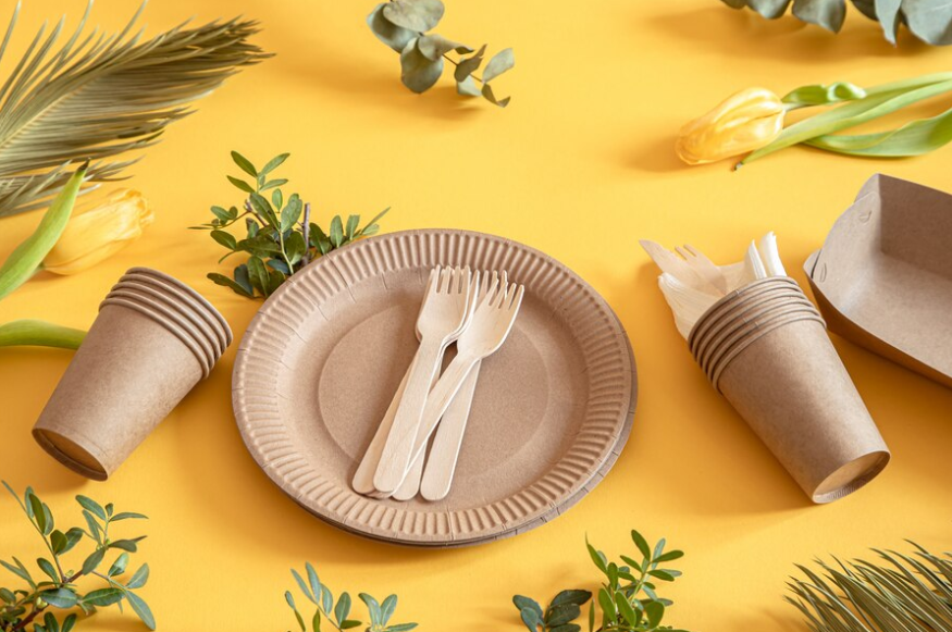 YIEN Lot de 50 assiettes en carton super rigides 100% et compostables YIEN Lot de 50 assiettes en carton super rigides 100% et compostables