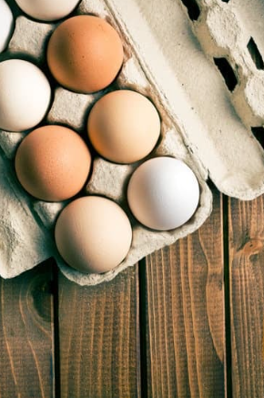 Boîtes à œufs en fibre moulée : un emballage biodégradable et compostable