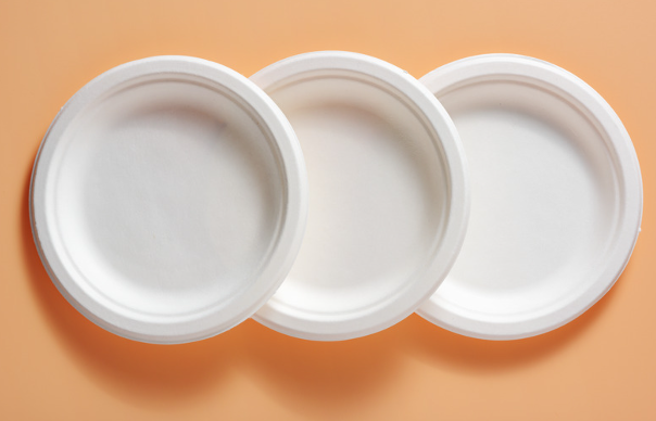 Assiettes en bagasse : quelle durée de compostage dans des conditions idéales ?