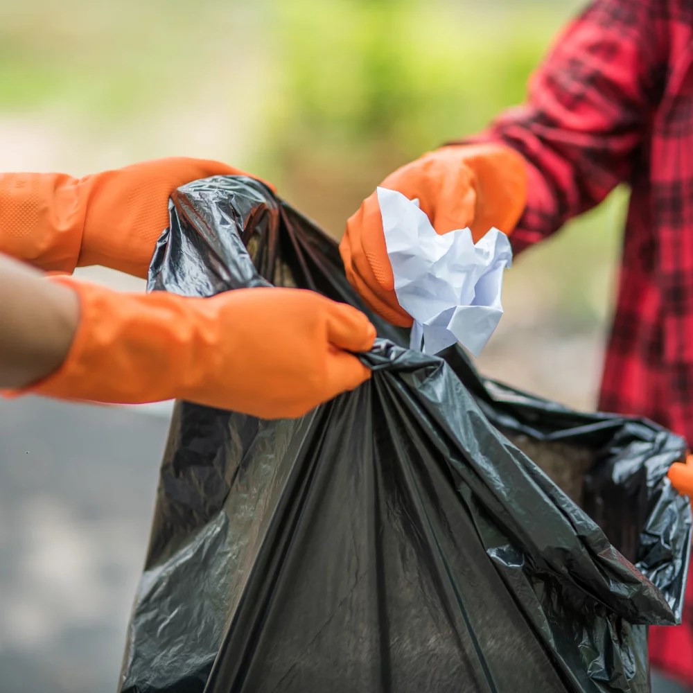 Où vont les sacs noirs de nos poubelles après avoir été collectés ?