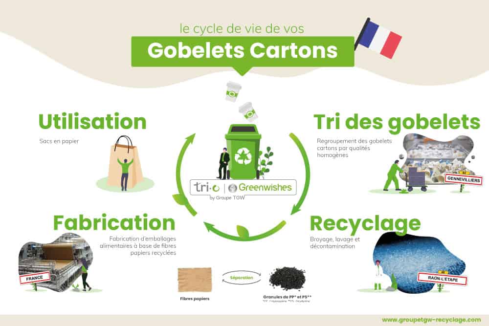 Les gobelets en carton : des emballages recyclables