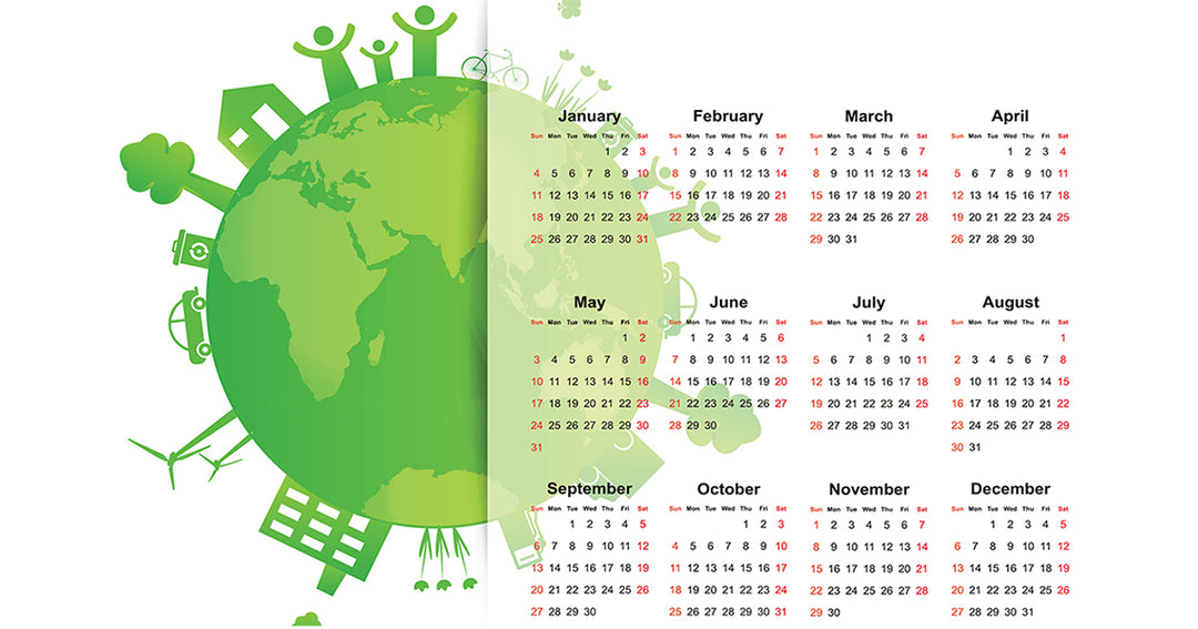 Interdiction du plastique à usage unique : le calendrier en France