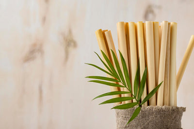 Pourquoi choisir une paille en fibre de bambou jetable ?