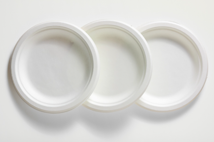 Assiettes réutilisables