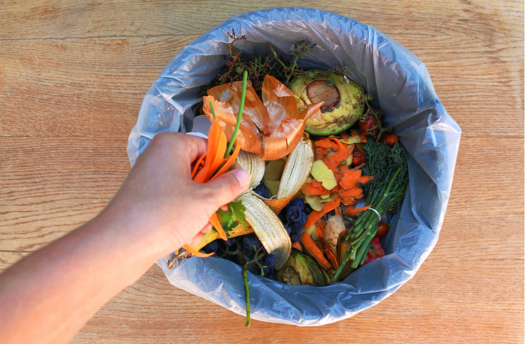 Fournisseur d’équipements pour la collecte des déchets