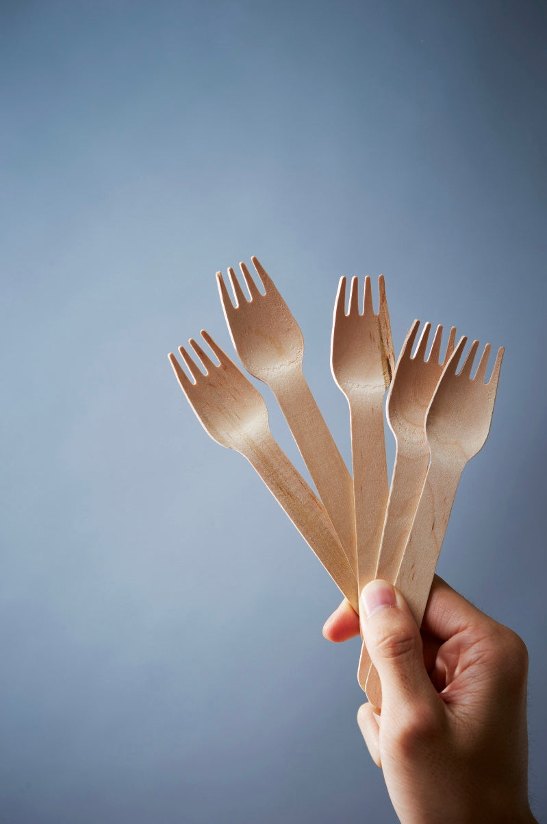 Fournisseur de fourchette jetable