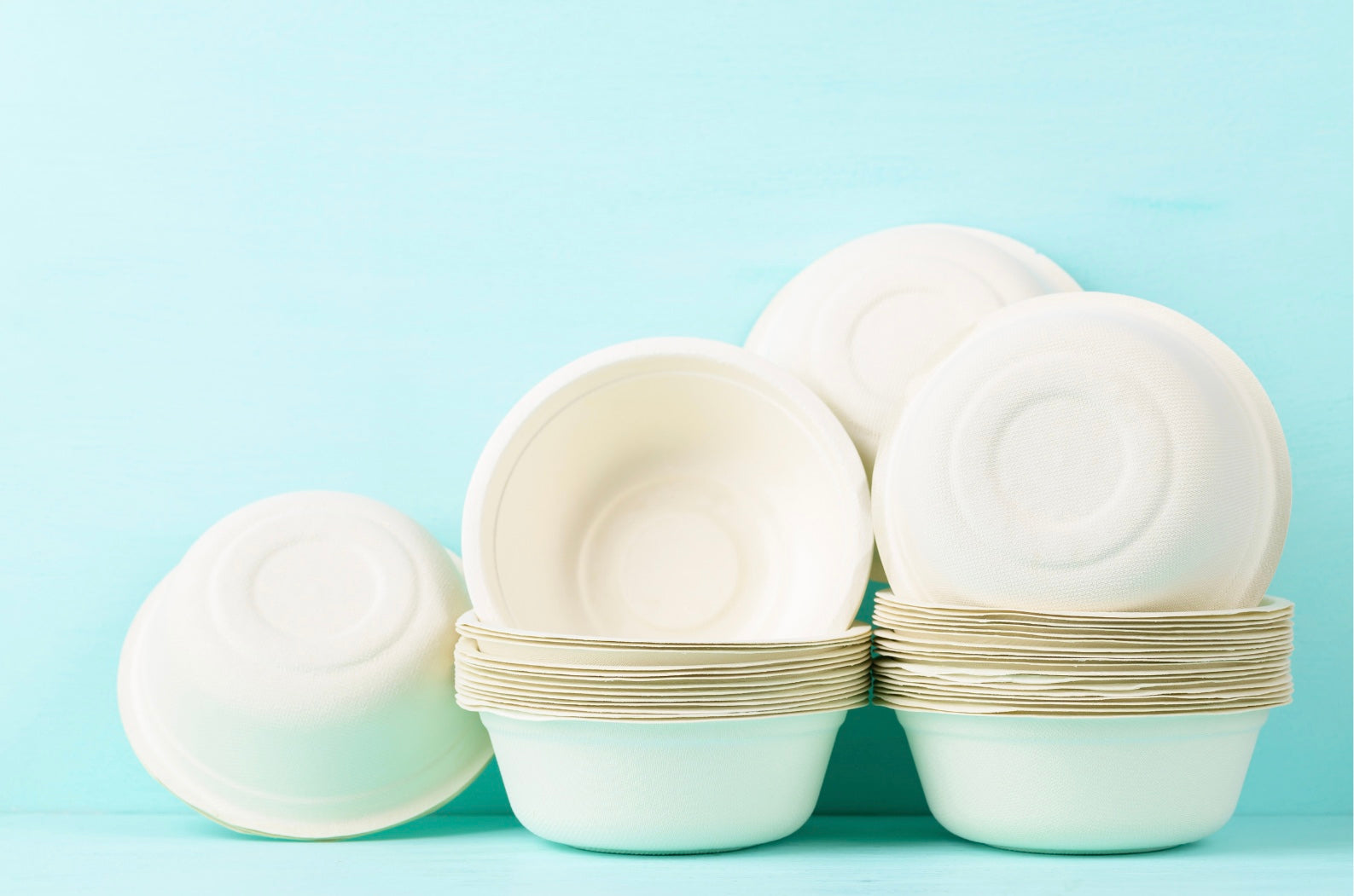 Fournisseur de bol jetable