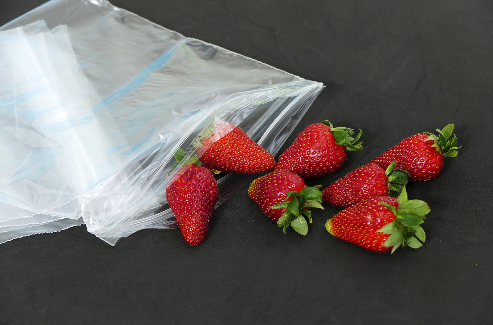 Fournisseur de Sacs congélation