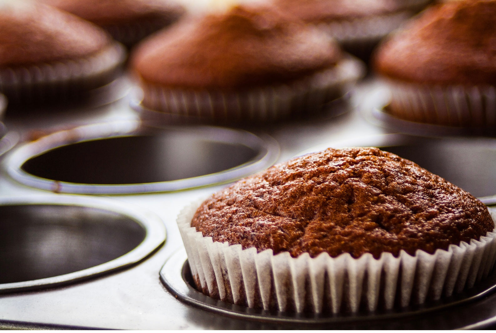 Fournisseur de moule de cuisson papier