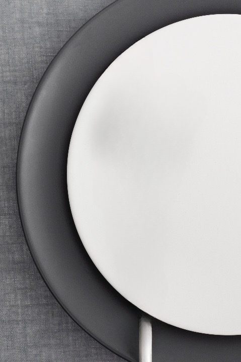 Assiettes réutilisables