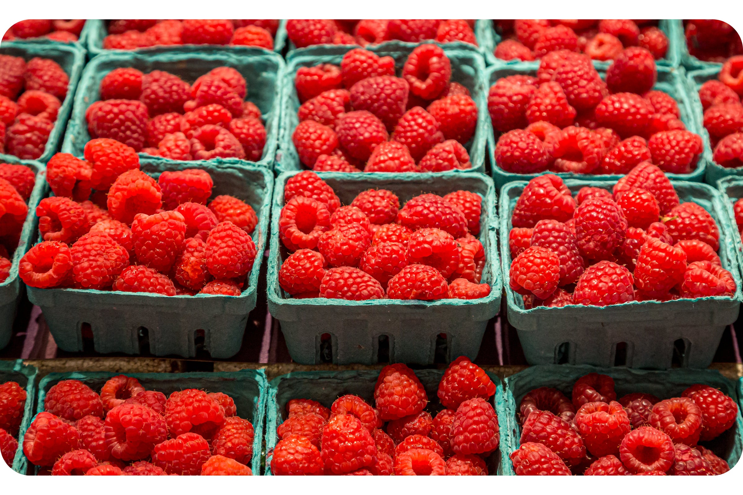 Barquettes de fruits et légumes