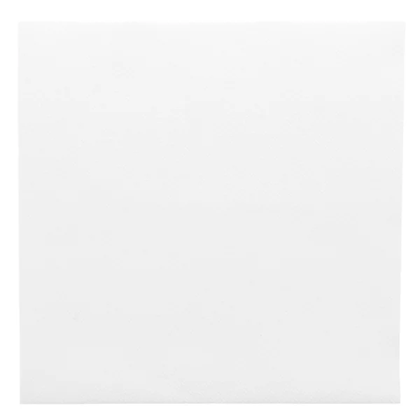 Serviette blanc ouate EcoLabel FSC Double point 30 x 40 cm