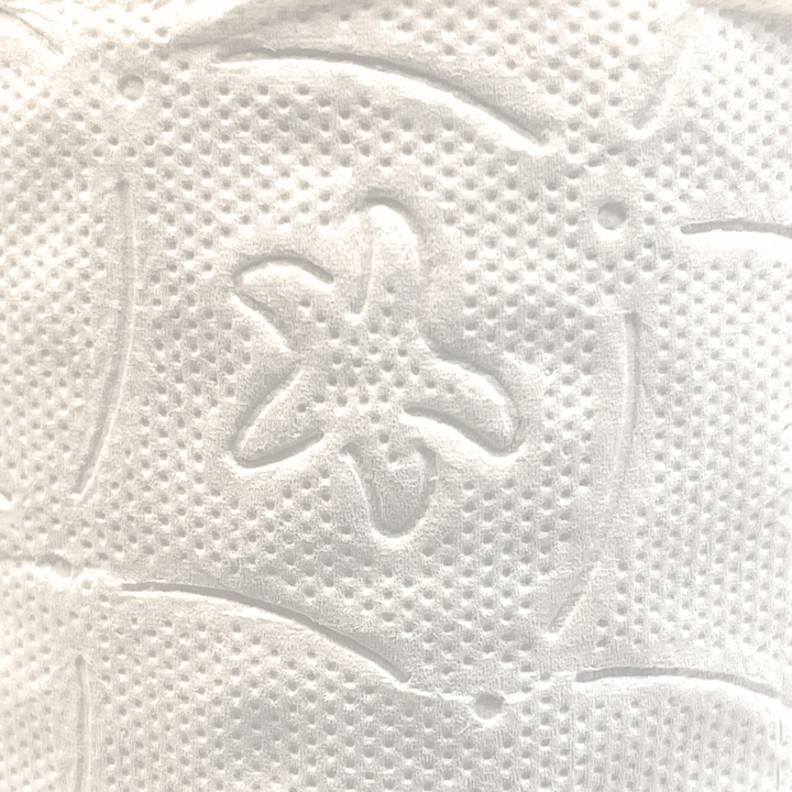 Papier toilette blanc 2 plis 