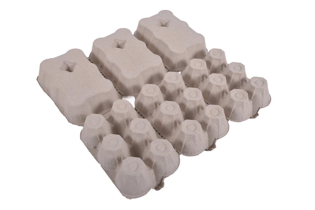 Boîtes à oeufs 3x6 Upac ouverte