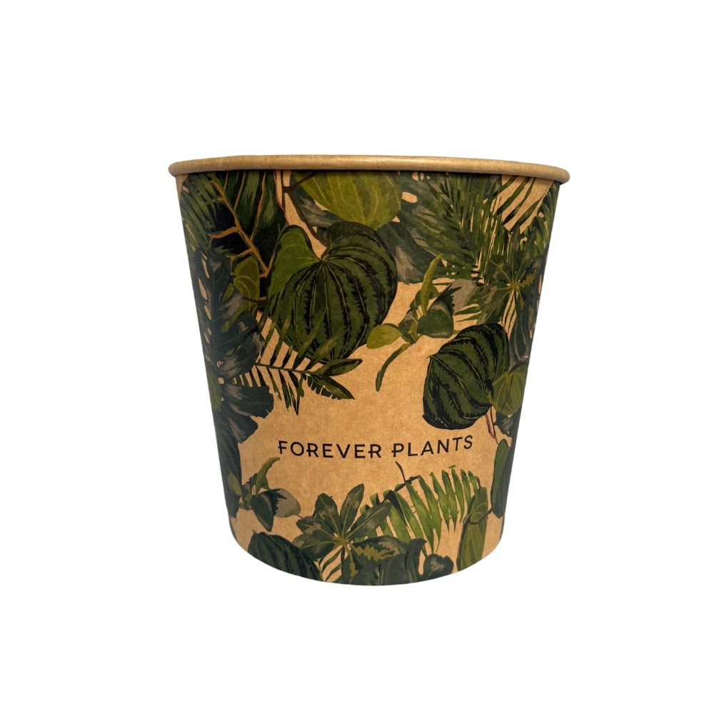 Pot bucket carton 3 L