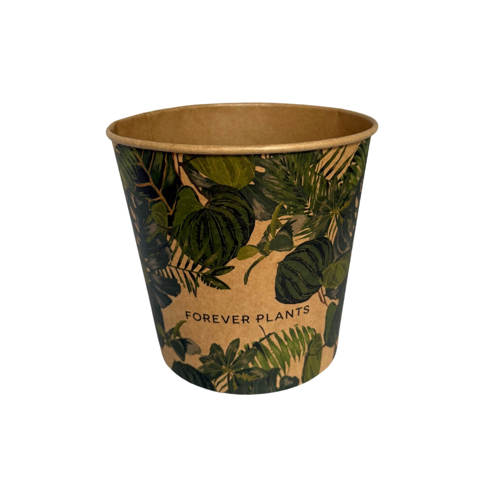 Pot bucket carton 3 L