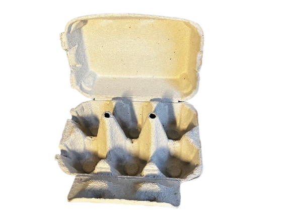 Boîtes à œufs En Cellulose 100% Compostable - Lot De 100 - 6 Alvéoles - Écologique Et Pratique