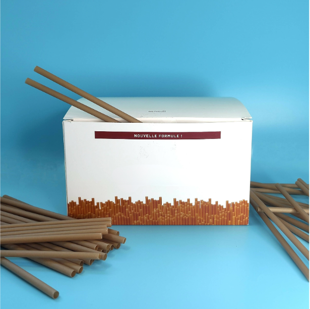 Boite de 500 petites pailles en fibre de canne à sucre - 140*6mm