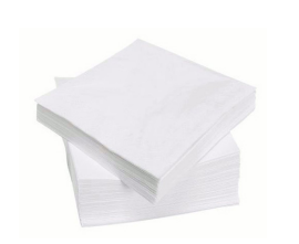 Serviettes 2 plis 20 x 20 cm blanc (4000 unités)