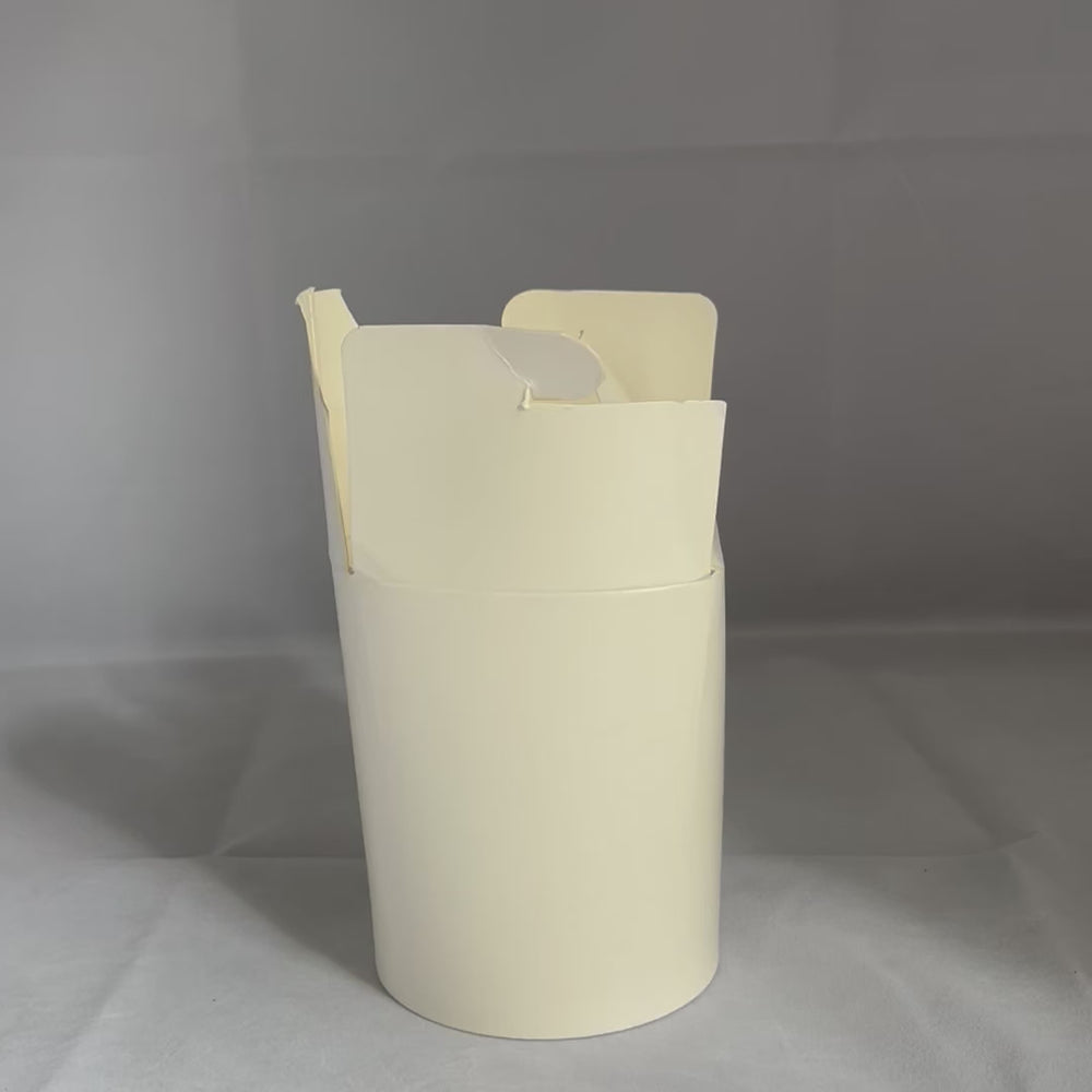 Boîtes à Pâtes 480ml (500 unités)