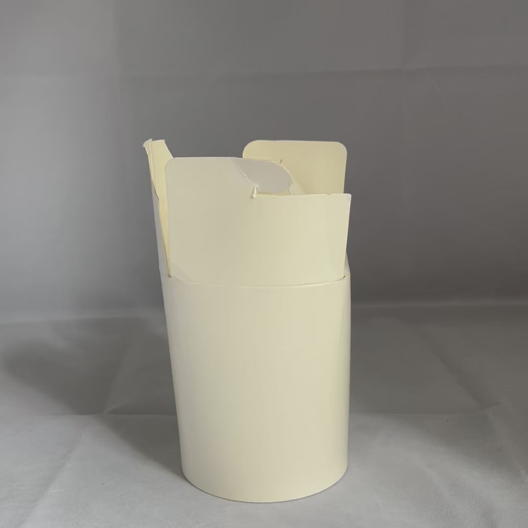 Boîtes à Pâtes 480ml (500 unités)