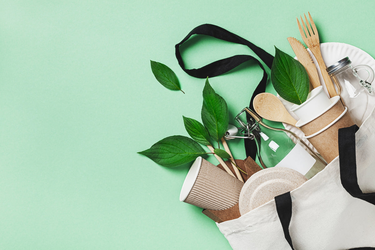 Gobelets carton, emballages alimentaires et hygiène pour professionnels