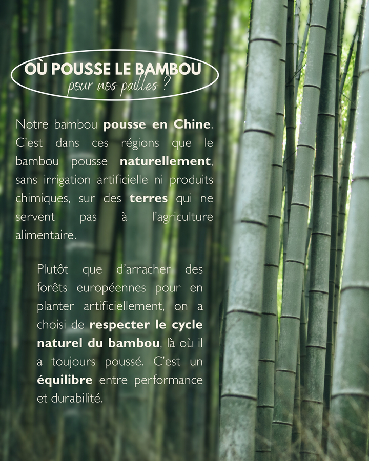 Pailles jetables en Fibre de Bambou