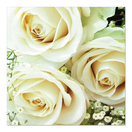 Serviettes. 3 plis pliage 33 cm x 33 cm "Royal Flower"