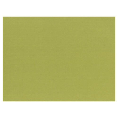 Sets de table. papier 30 cm x 40 cm vert olive