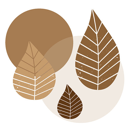 Serviettes. 3 plis pliage 40 cm x 40 cm naturel "Graphic Leaves"