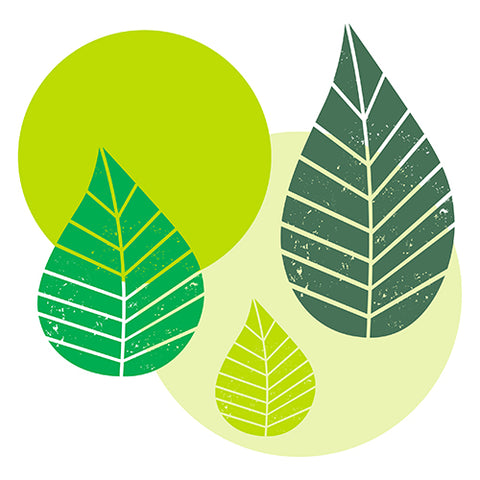 Serviettes. 3 plis pliage 40 cm x 40 cm vert "Graphic Leaves"