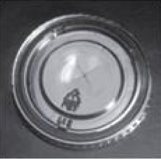 Couvercle pour pots à sauce 125 ml
