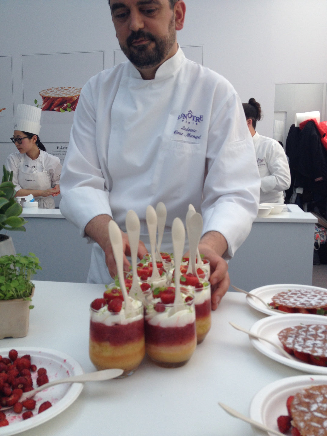 Georgette végétale 16 cm (1000+ unités)