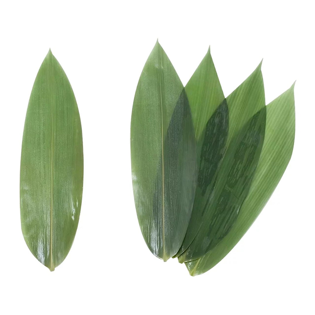 Feuille de Bambou 7-8cm 