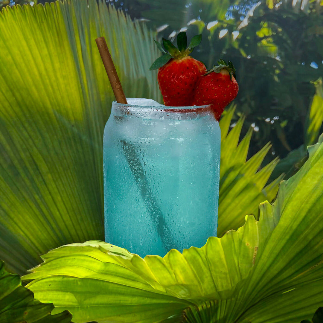 Boite de 500 pailles en fibre de canne à sucre