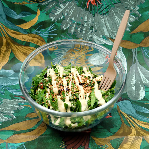 1000 Fourchettes réutilisables en fibre de canne à sucre